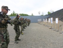 DYNAMIC Sector - During training